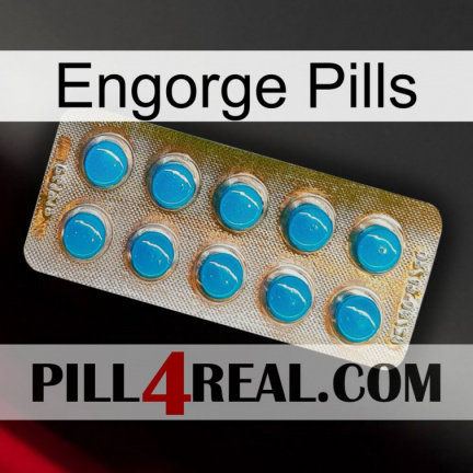 Engorge Pills new09